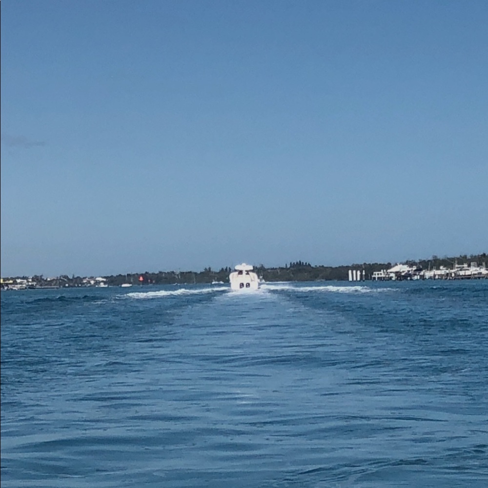 Meet your Posher, Ally